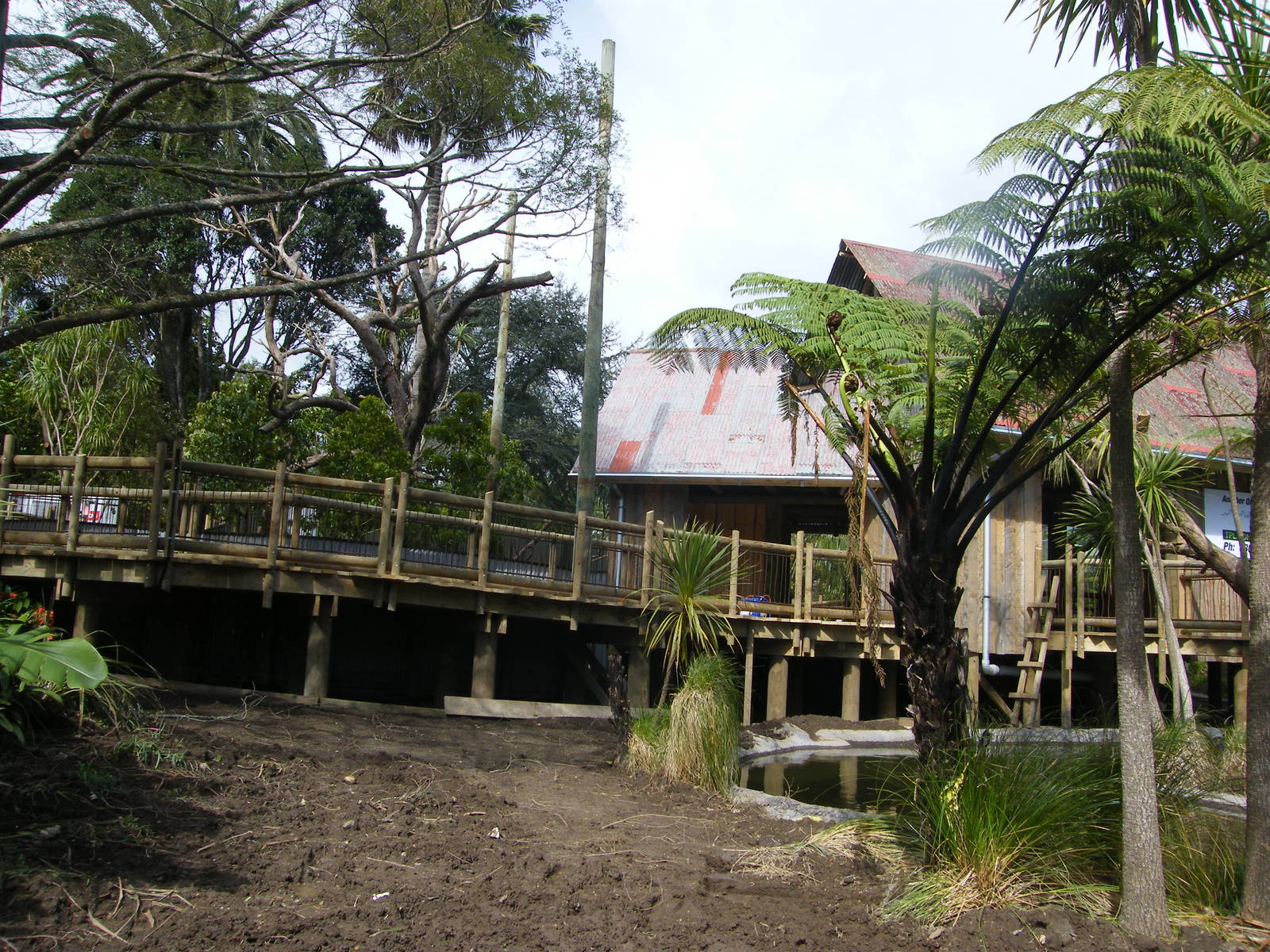 New Cotton-top enclosure