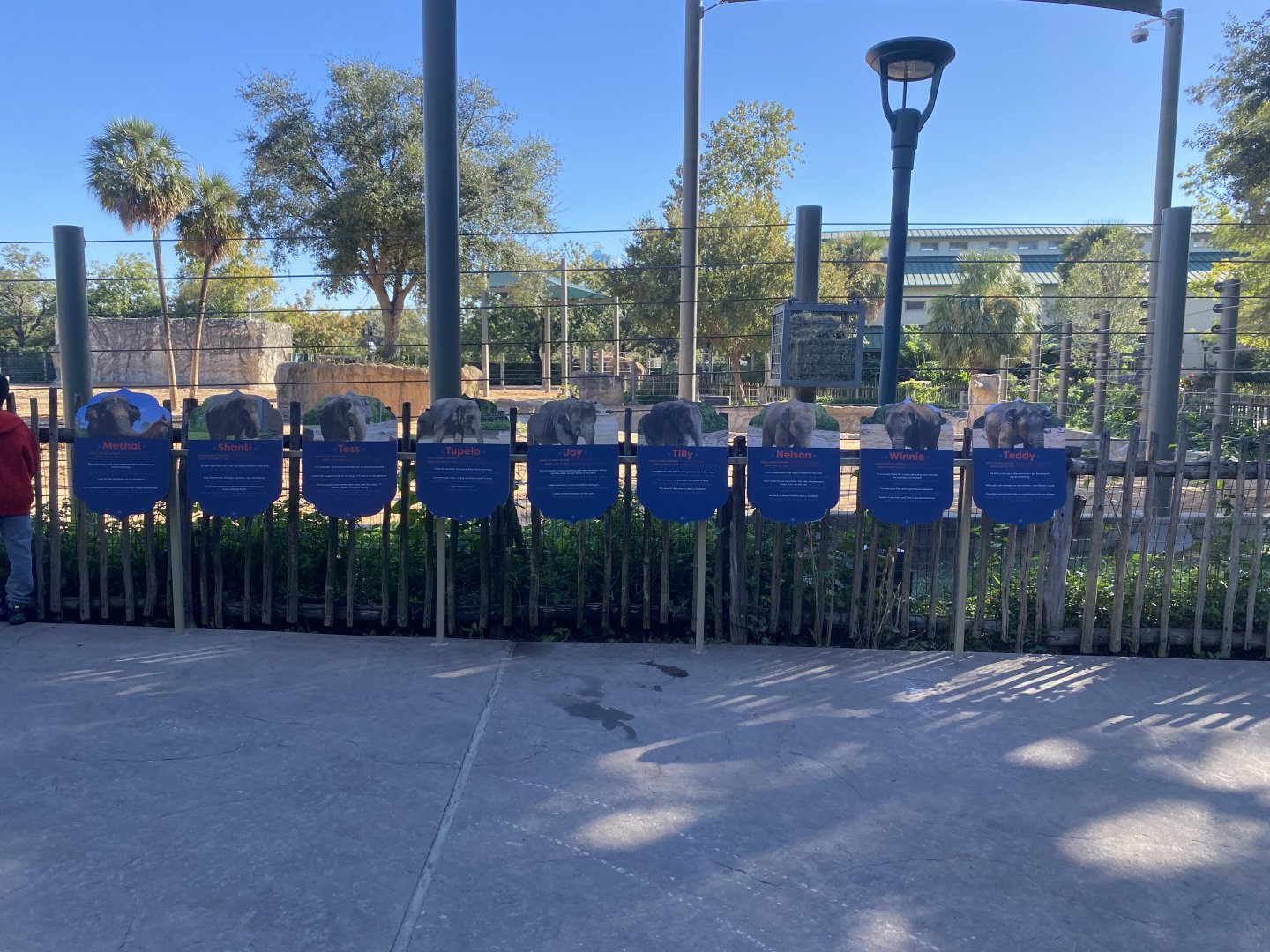 New Cow Yard Elephant Signs