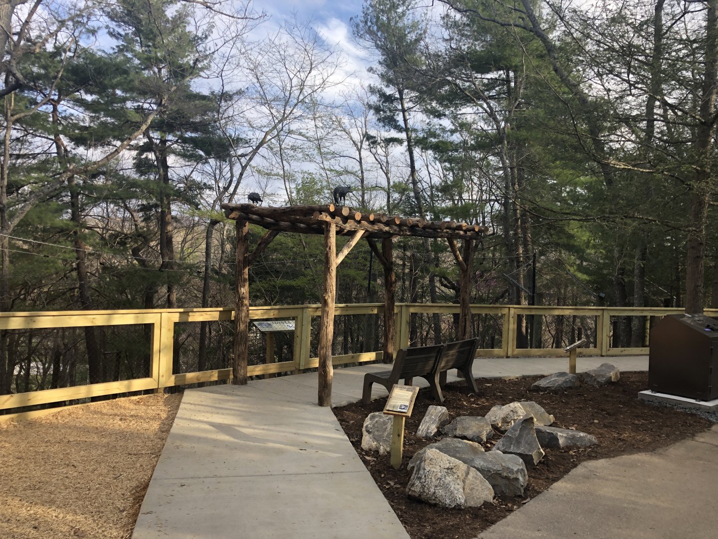New Coyote Exhibit - viewing area