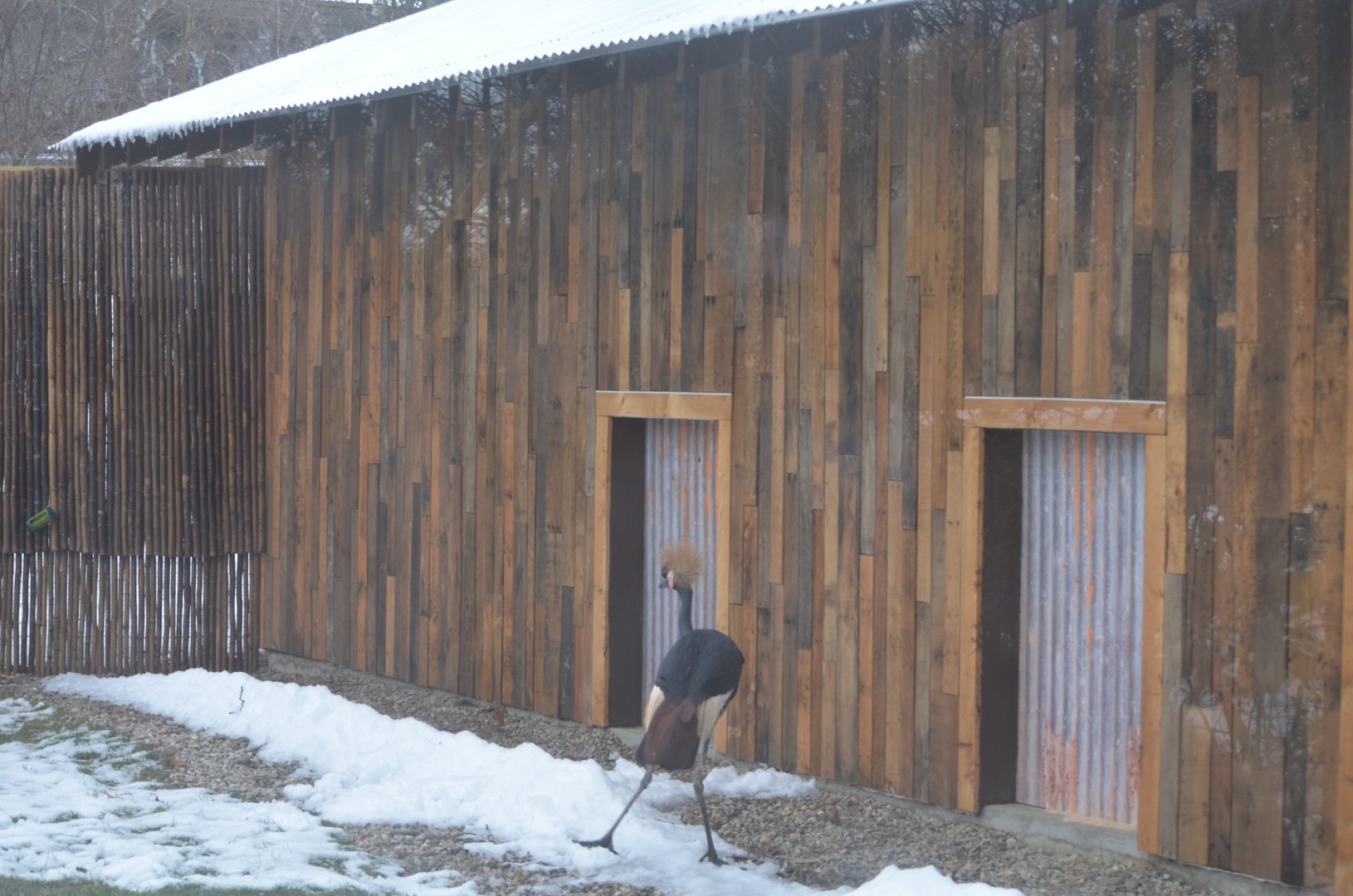 New Crane Exhibit Design