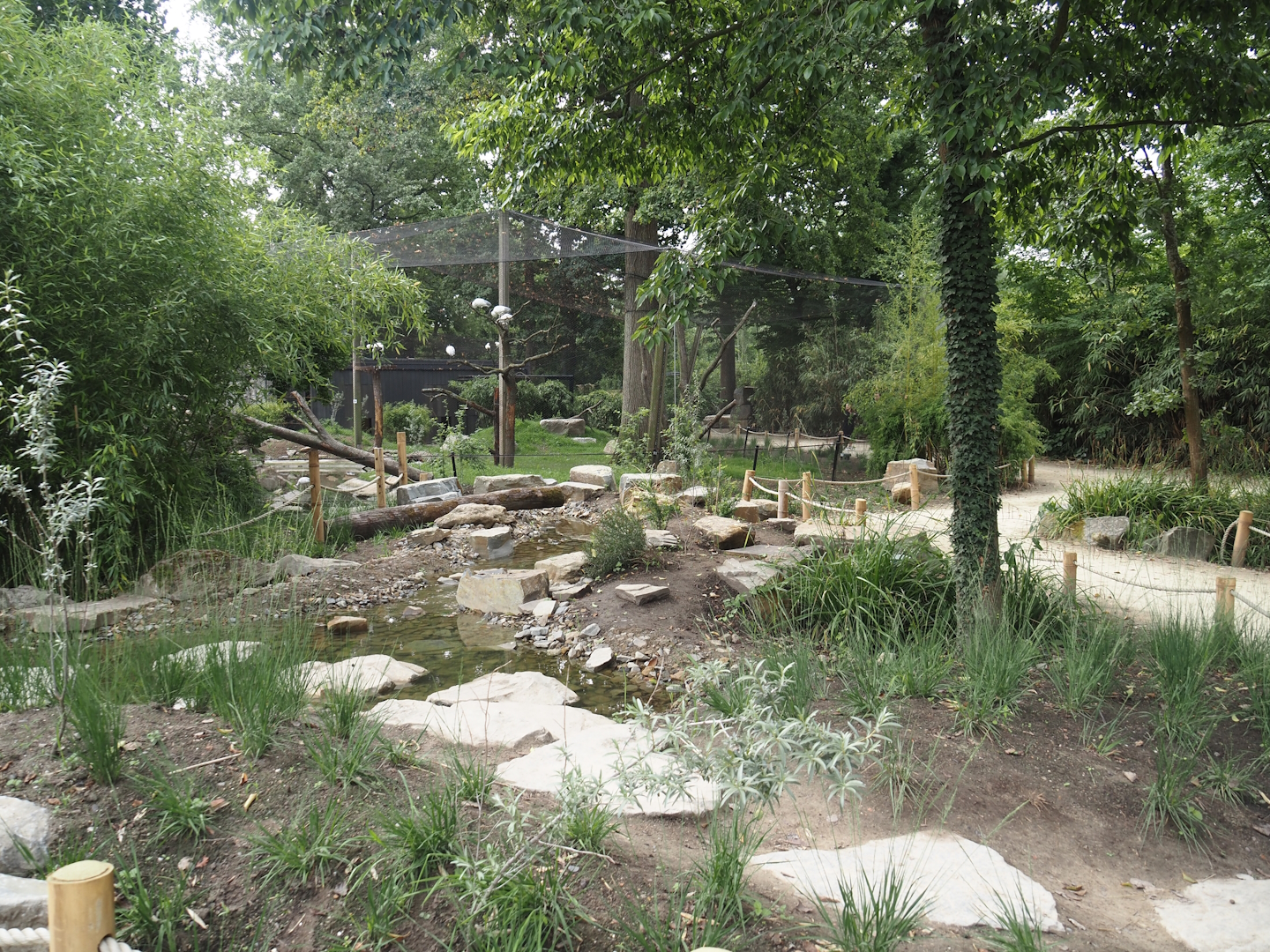 New creek near running into the new Oriental white stork aviary, 2025-07-12