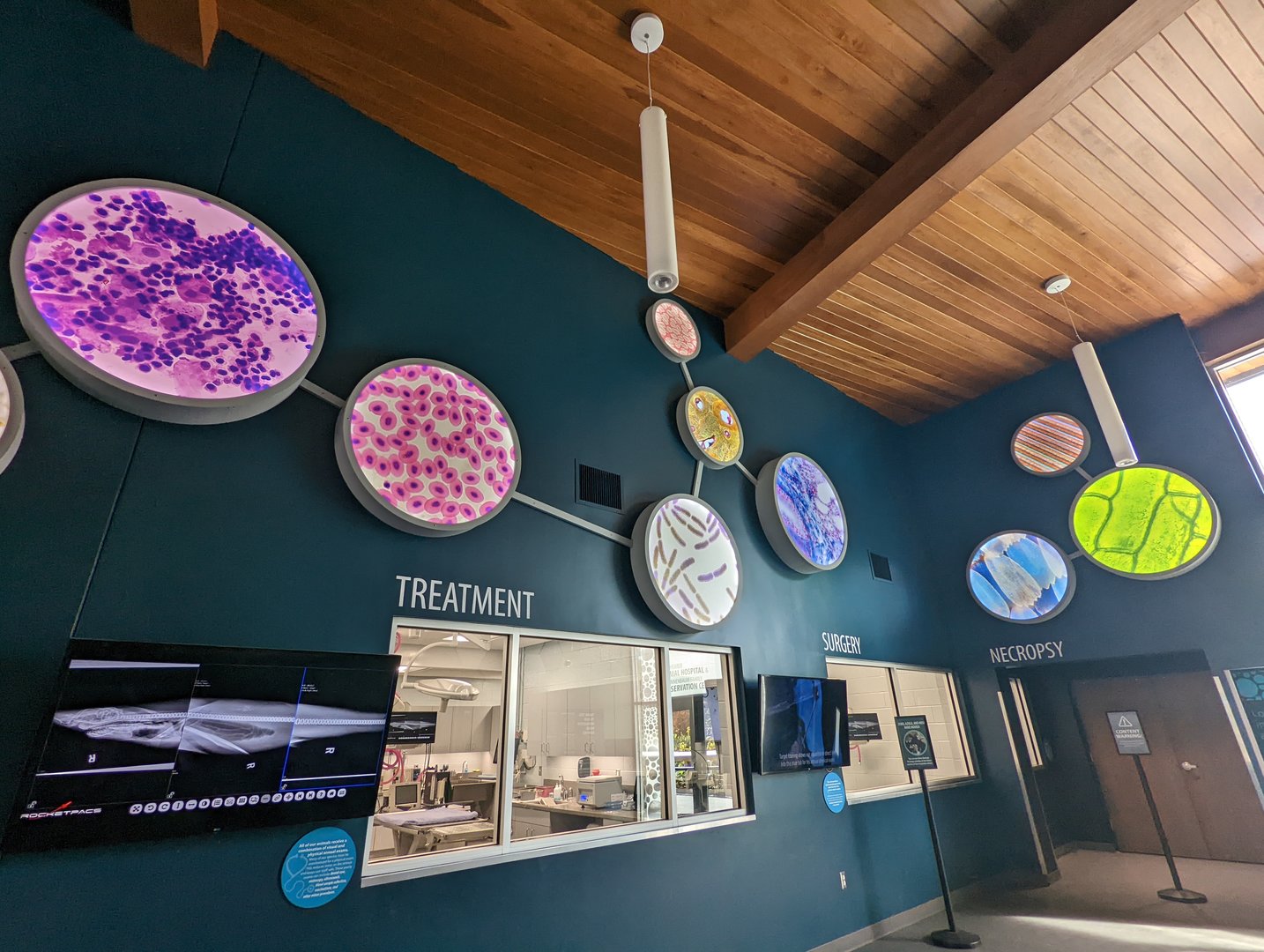 New decor in the Vet Hospital