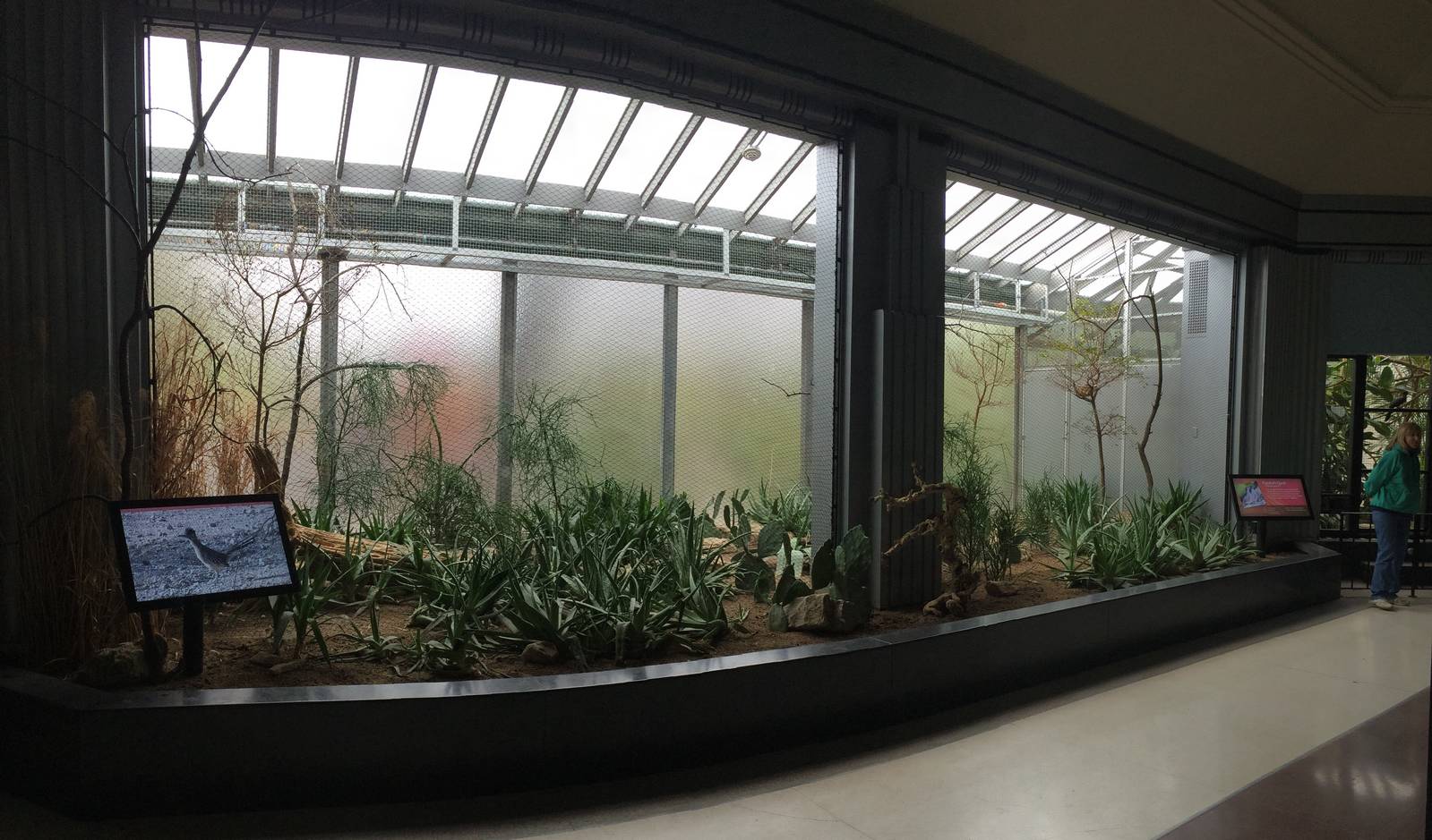 New desert bird exhibit in Feathers And Scales Building