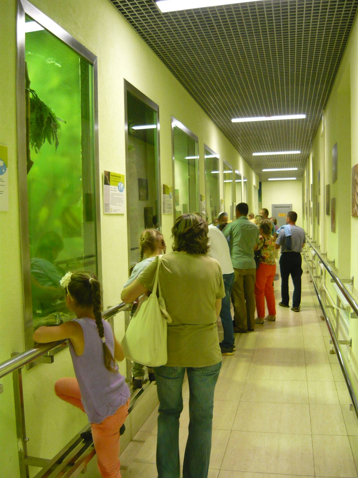 New design of the visitor zone in reptile house