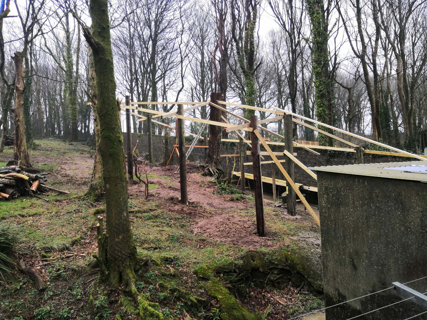 New development in the old bear enclosure!