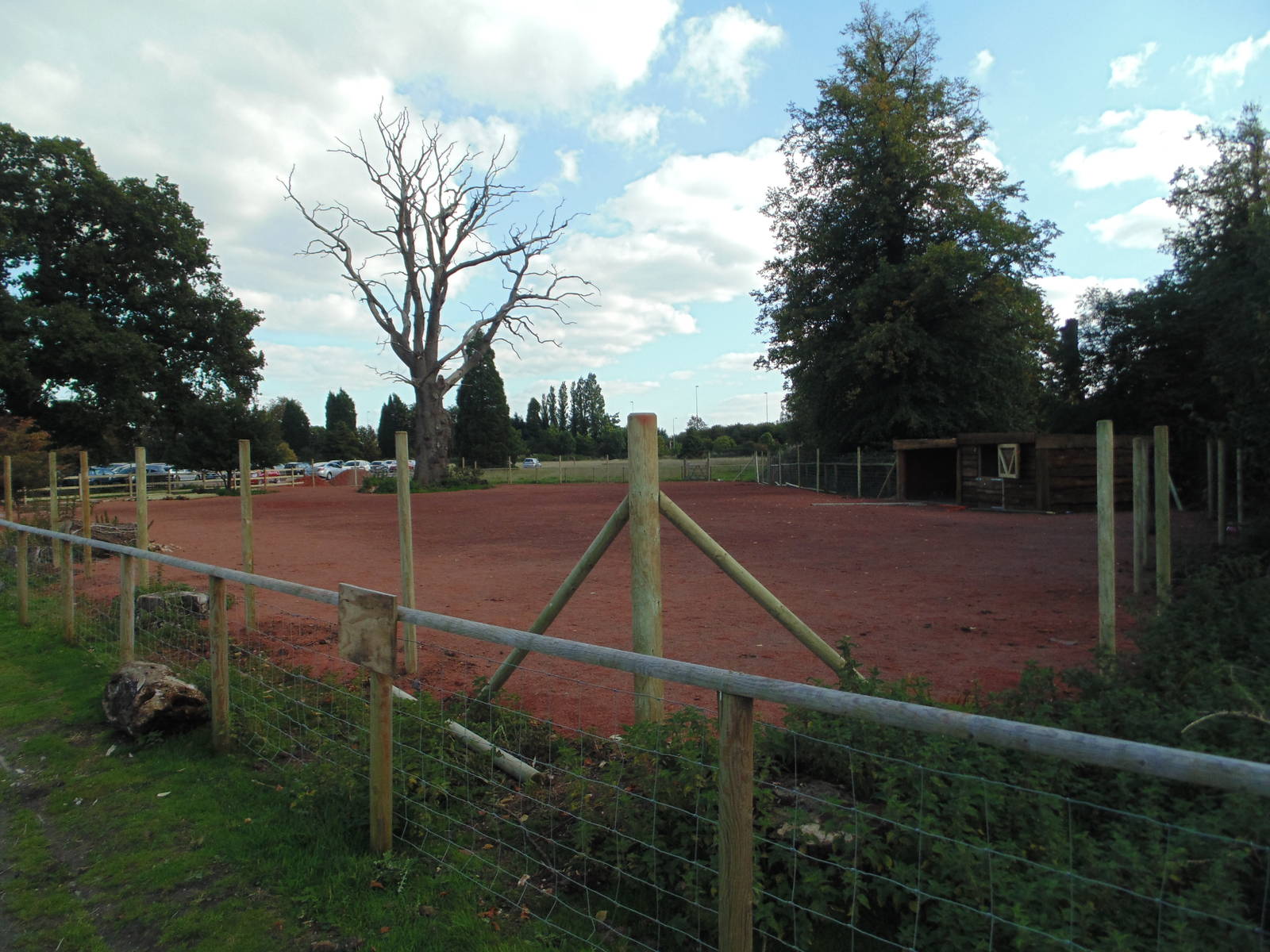 New Development on Boreray Sheep site
