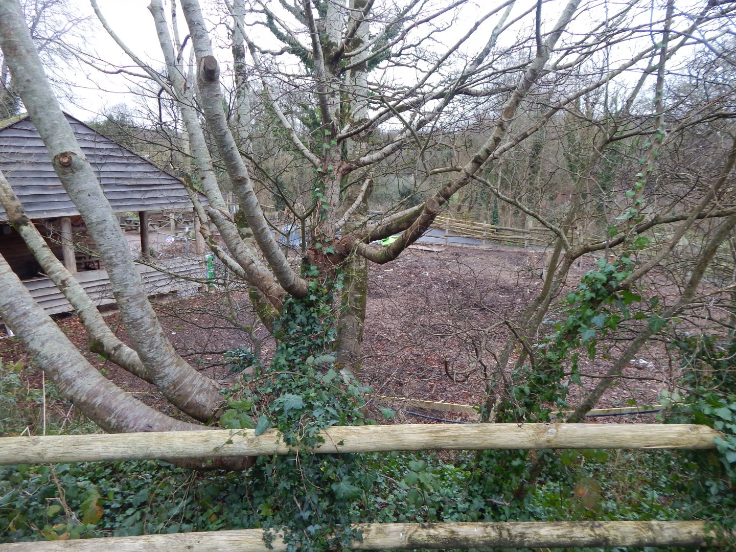 New development opposite Eastern bongos 050224