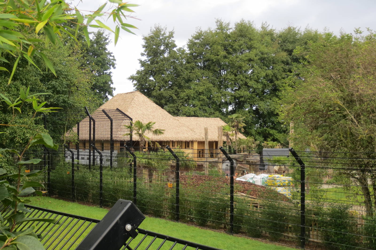 New developments 10/14