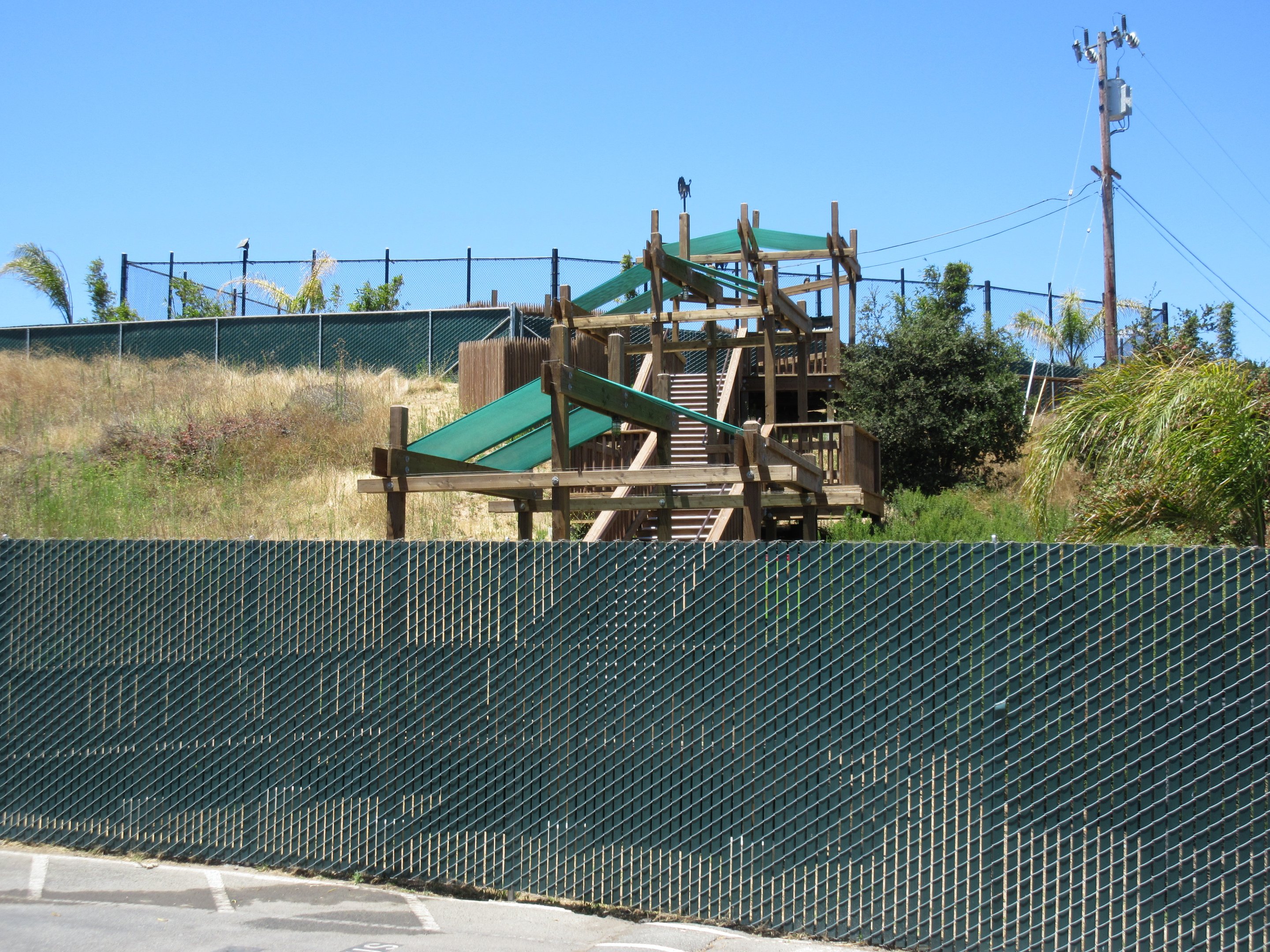 New Developments (lions, tigers and bears!)