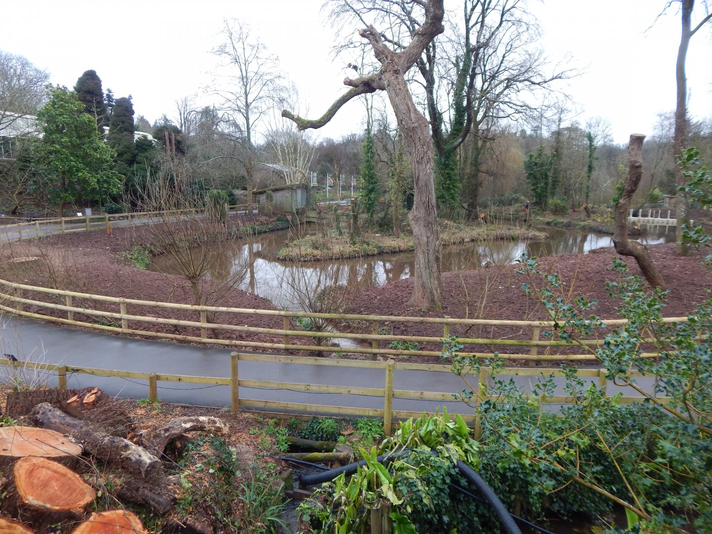 New developments near entrance 050224