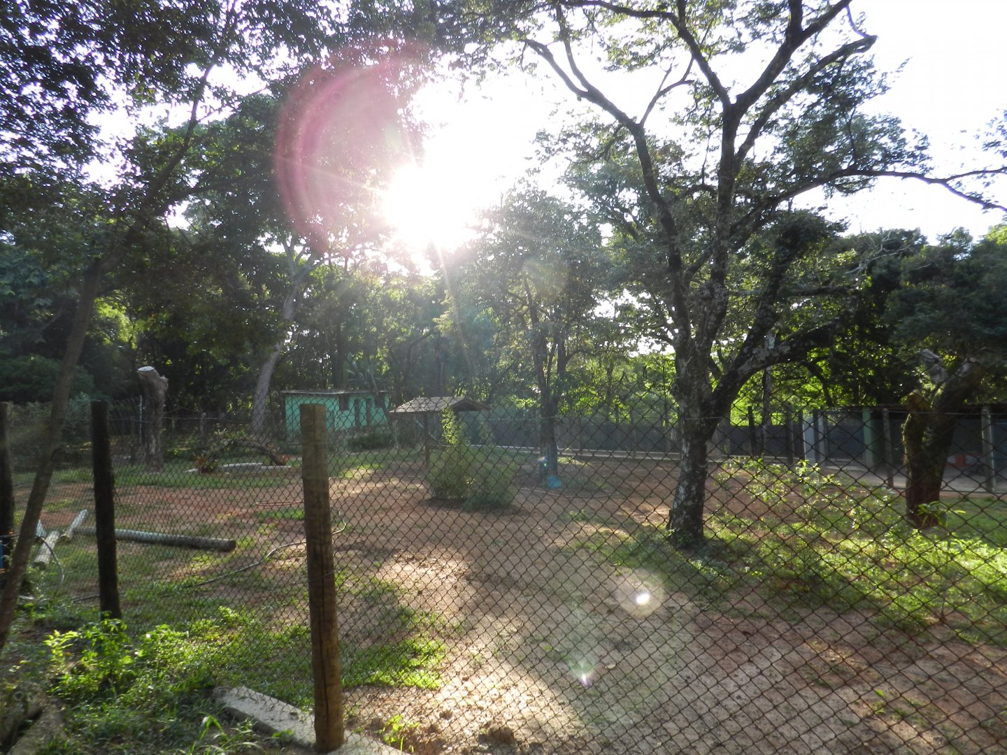 New developments on the bird square - Belo Horizonte zoo