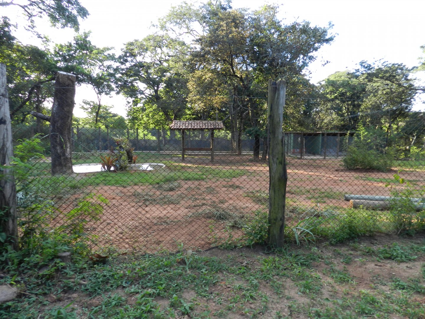 New developments on the bird square - Belo Horizonte zoo