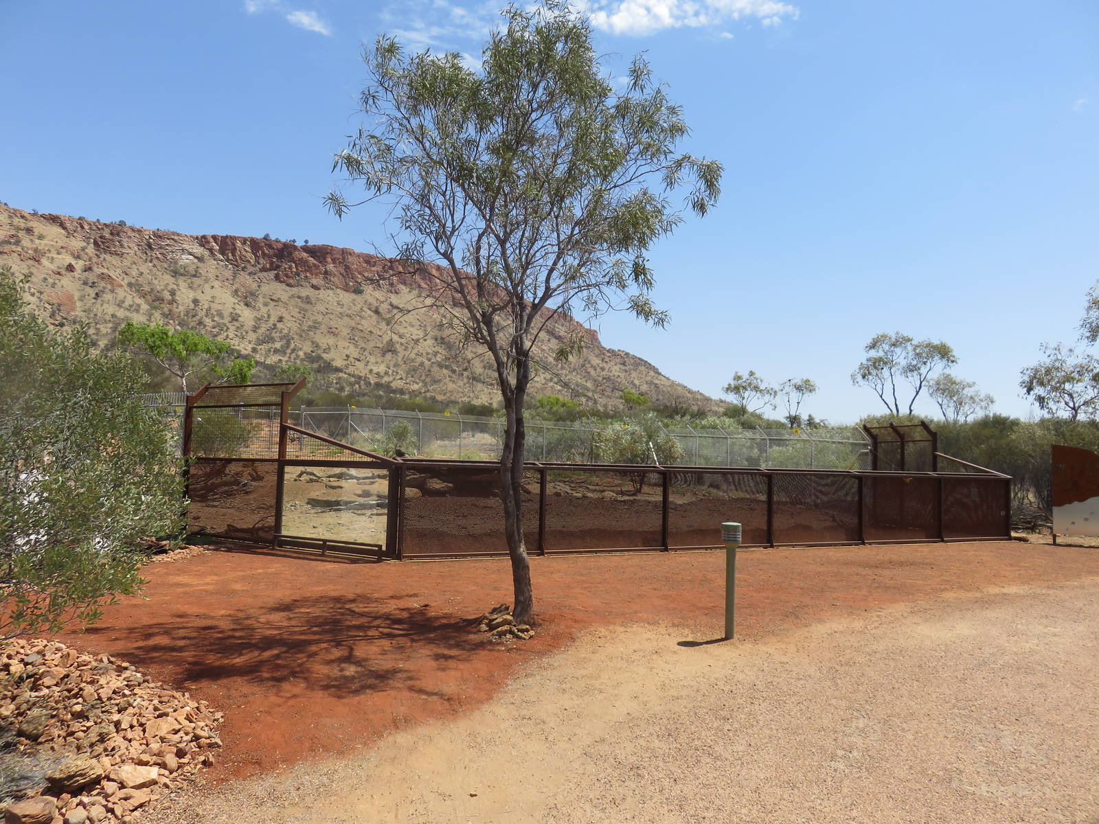 New Dingo Exhibit, Alice Springs Desert Park