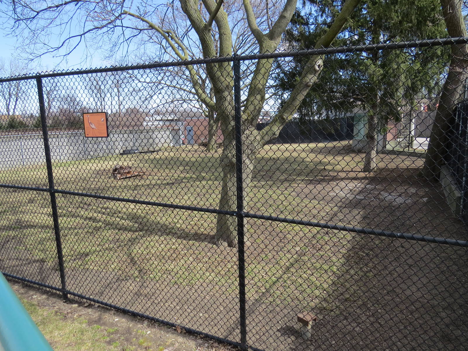 New dingo yard (former wild dogs/cranes)