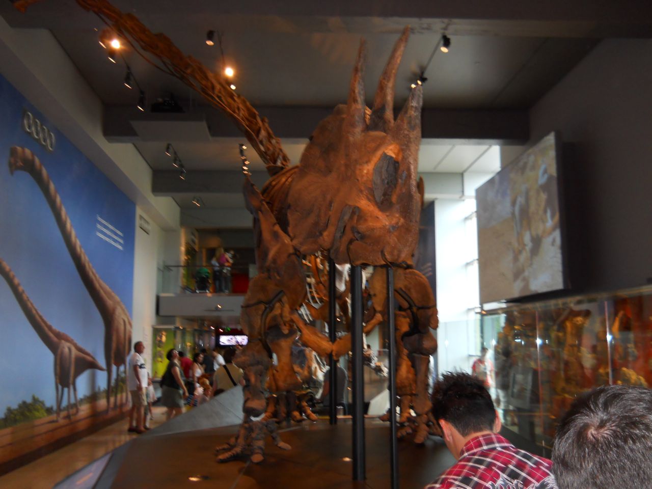 New Dinosaur Hall, Opened July 2011.