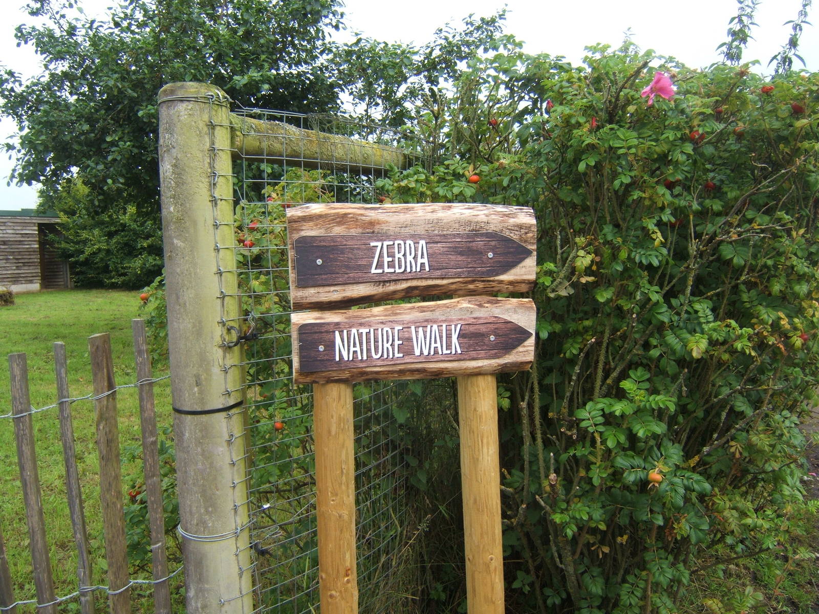 New direction signage