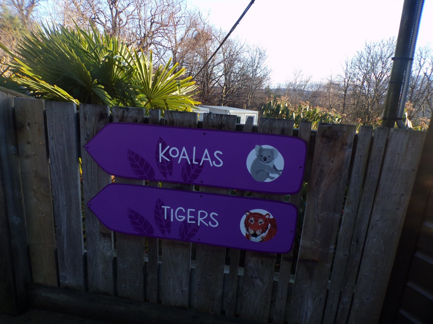 New direction signs to animals 1.1.24