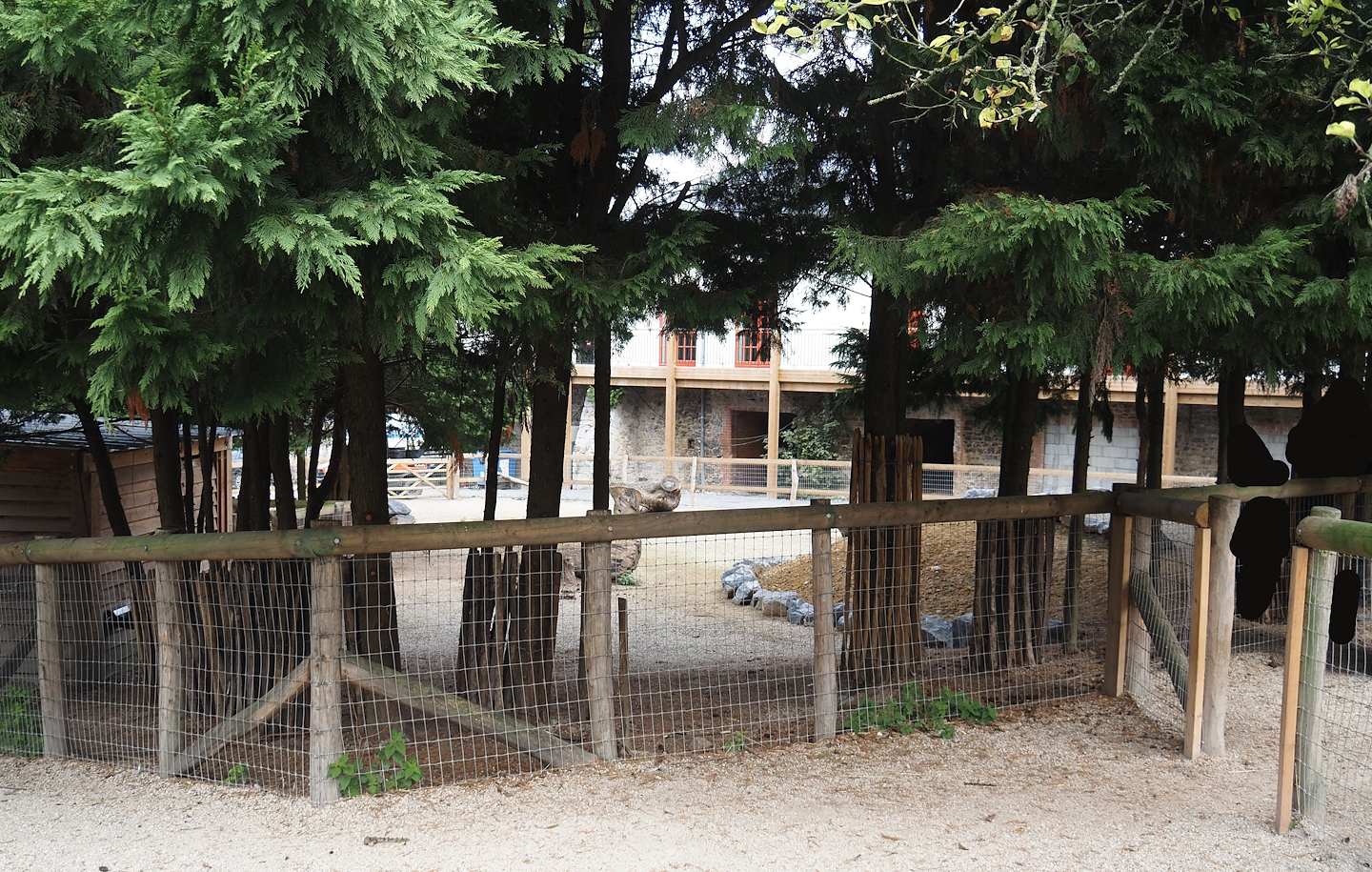 New domestic donkey paddock near Farm House lodges, 2024-09-17