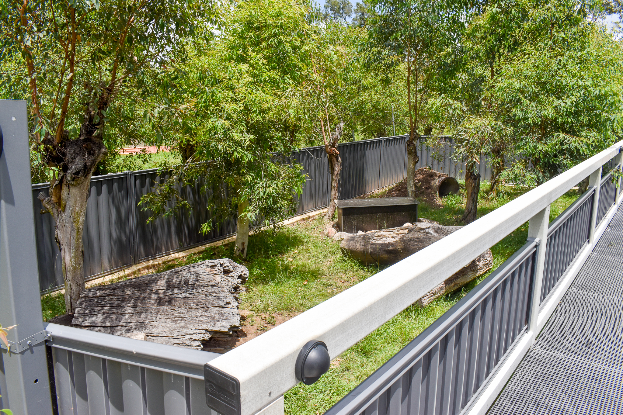 New Echidna enclosure