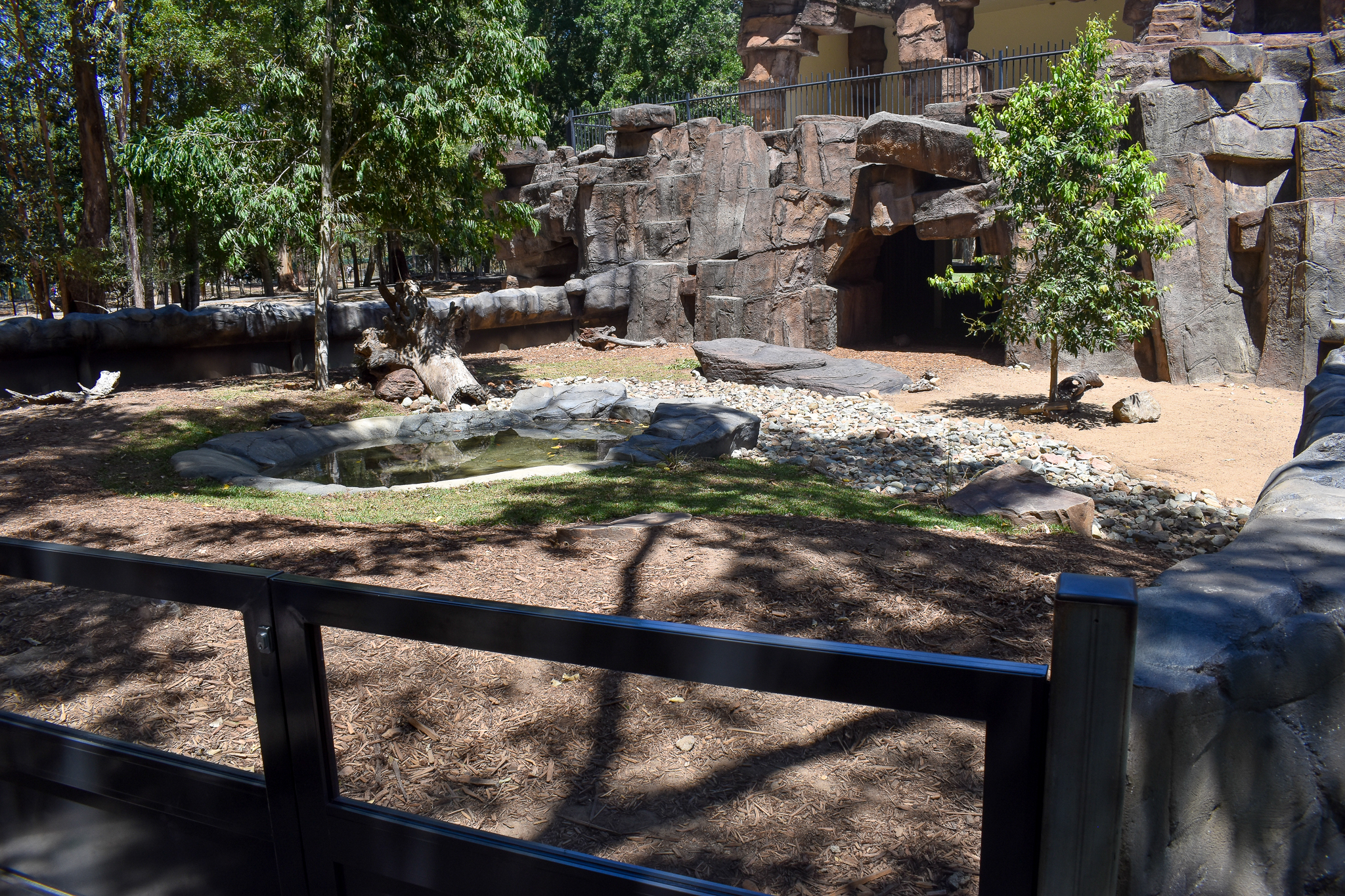 New Echidna/Quokka enclosure