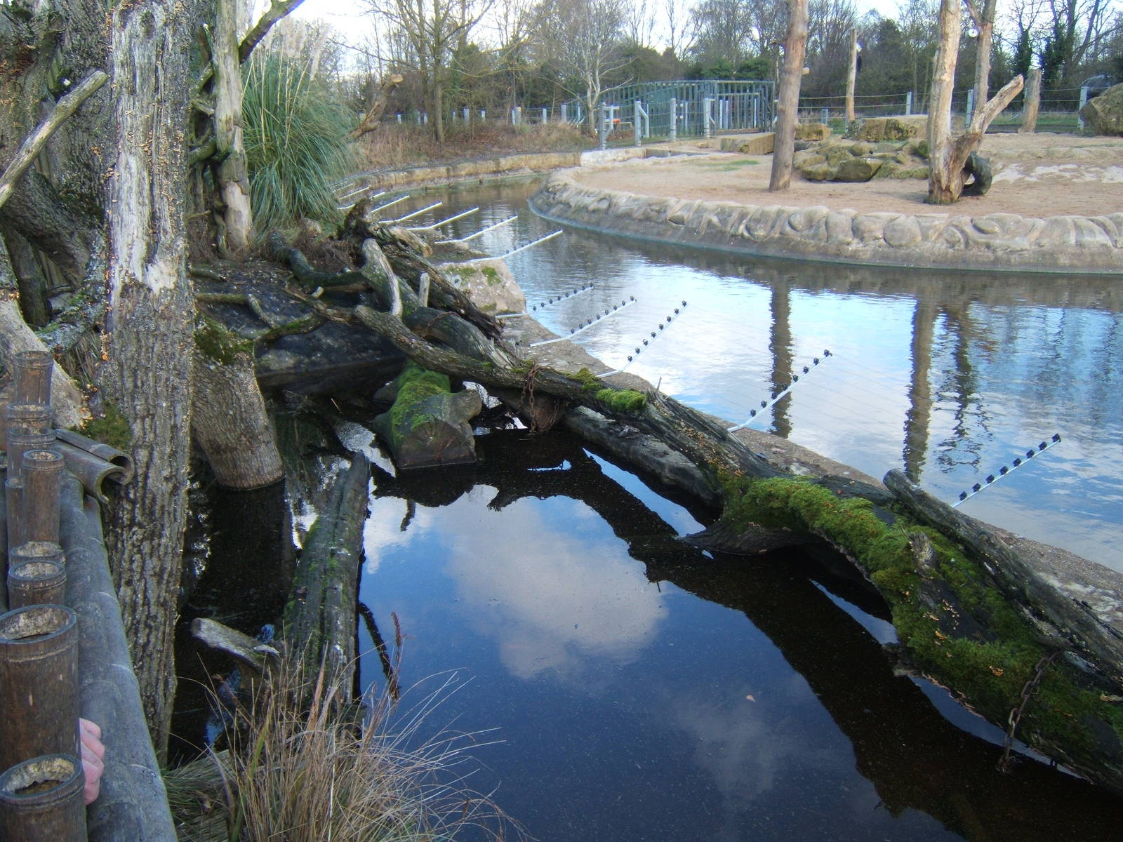 New electric fence round Elephant pool