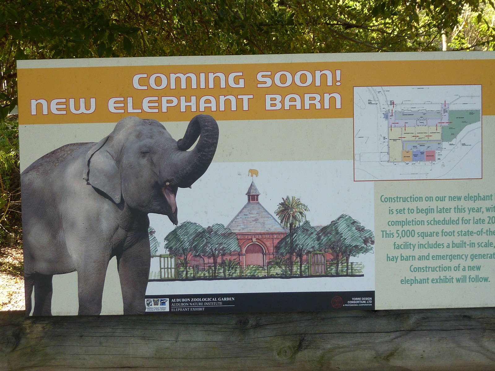 New Elephant Barn