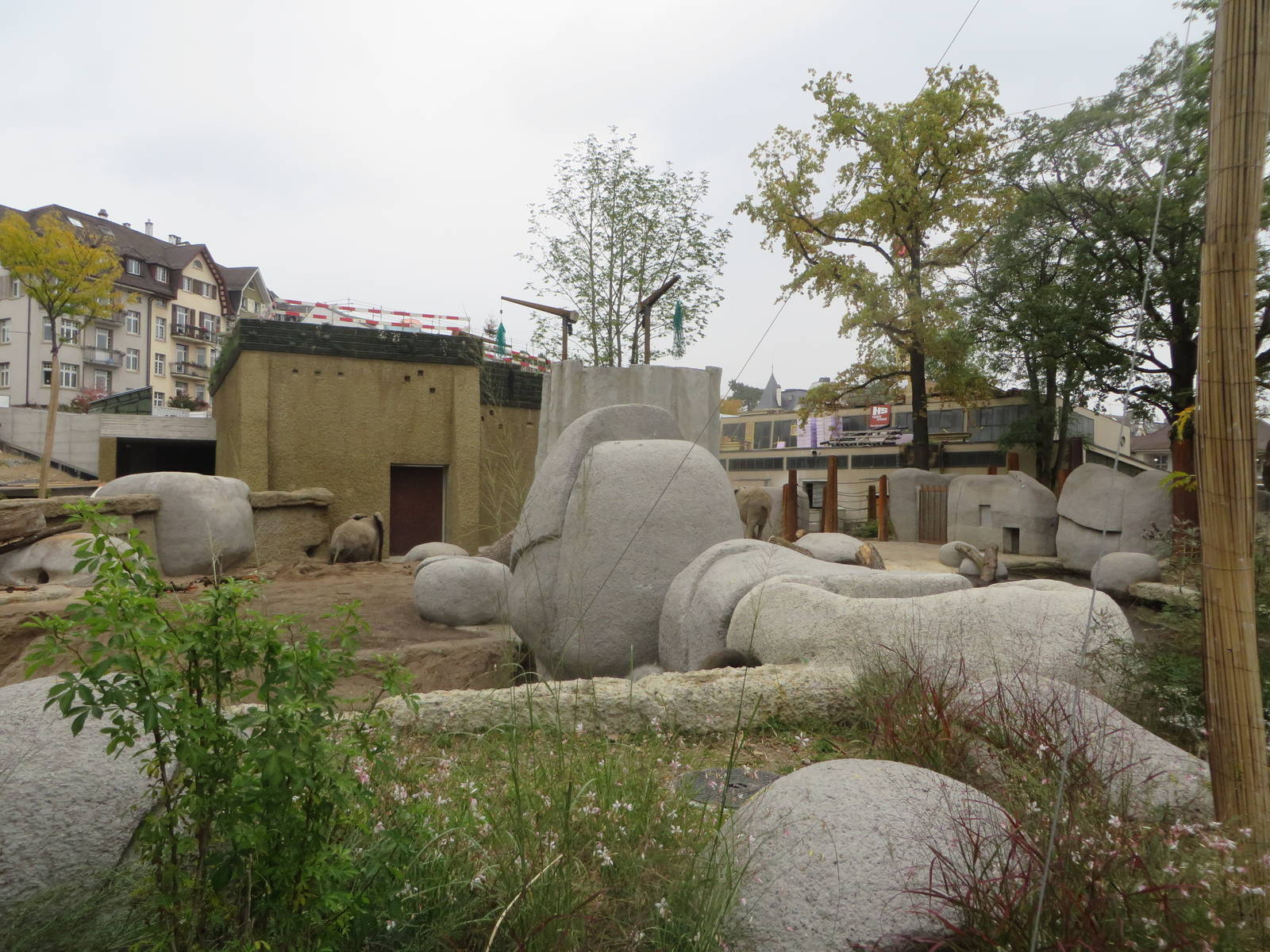 New elephant bull enclosure