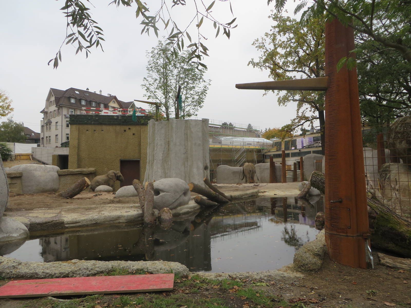 New elephant bull enclosure