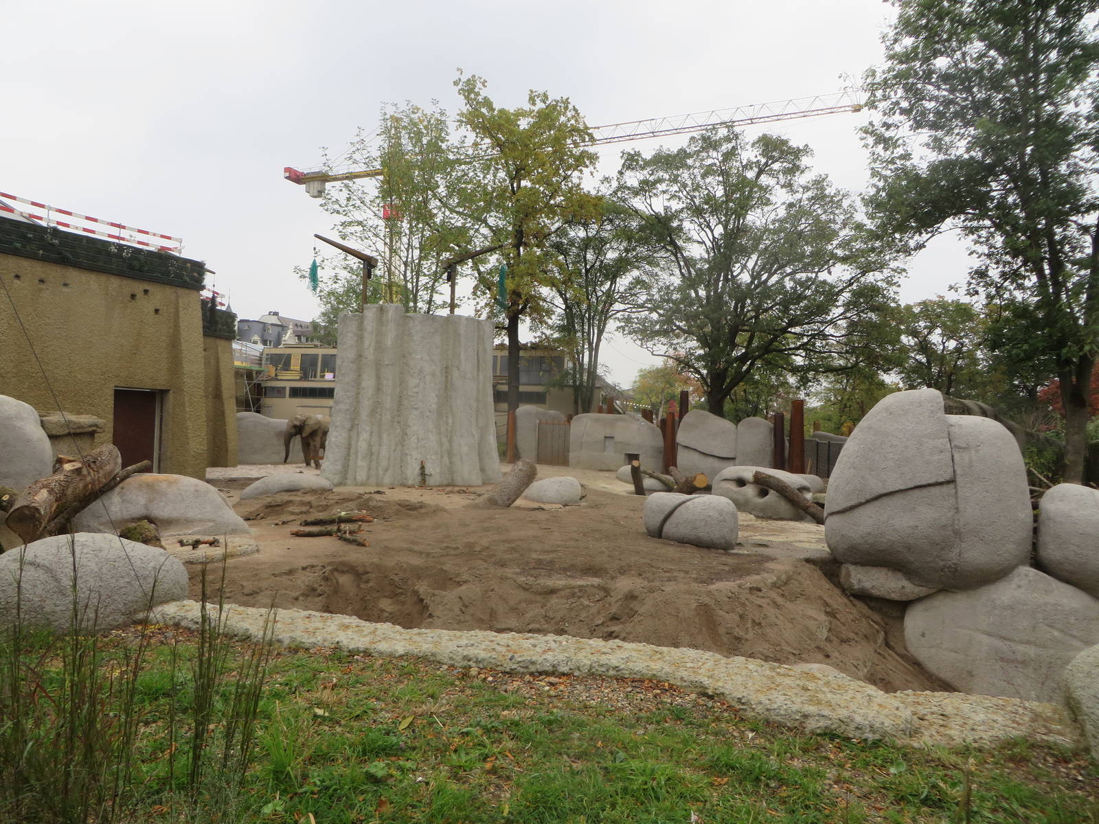 New elephant bull enclosure