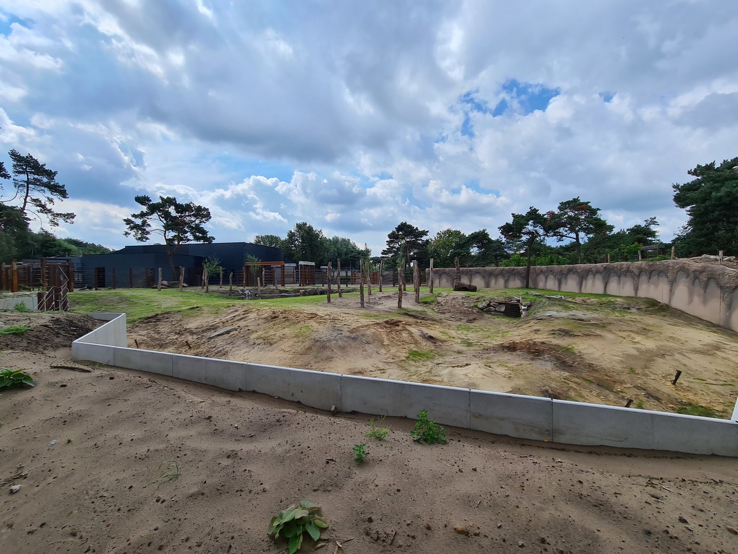 New Elephant bull yard