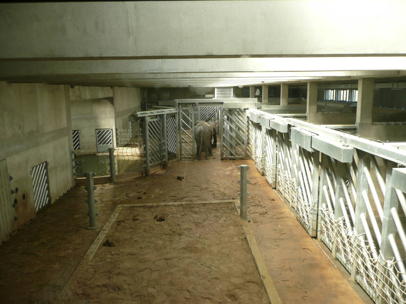 New Elephant complex