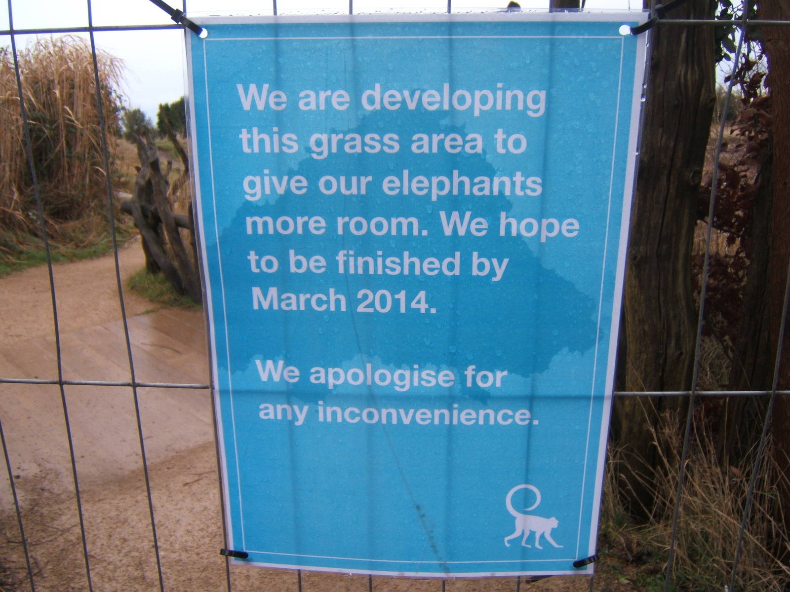 New Elephant developments