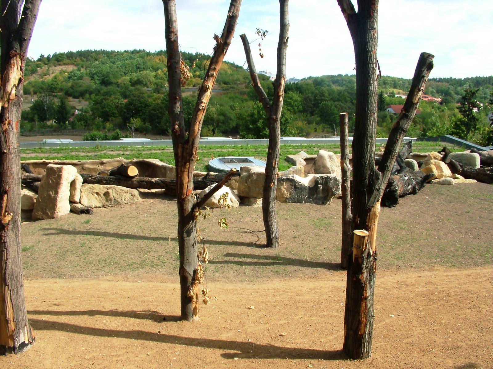 New Elephant Enclosure at Prague, 25/08/12