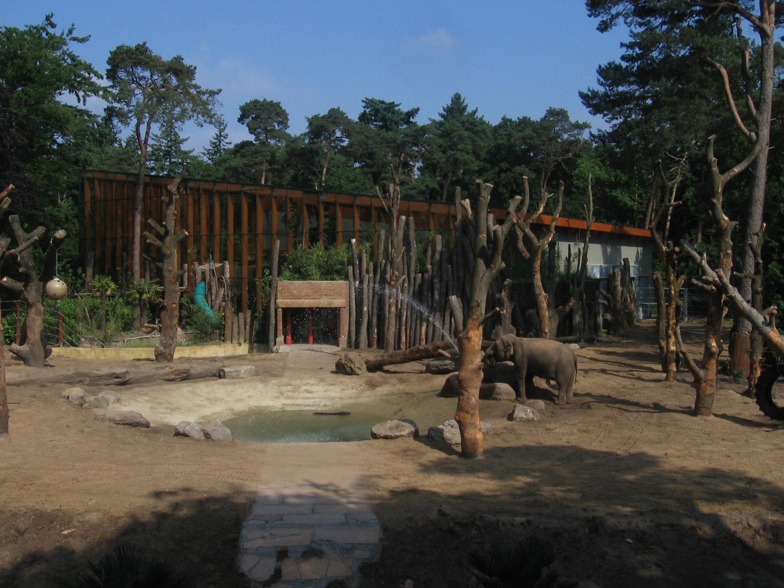 New elephant enclosure