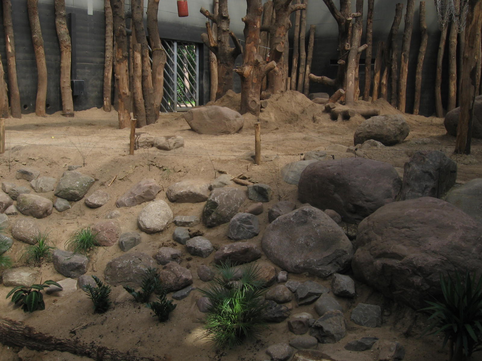 New elephant enclosure