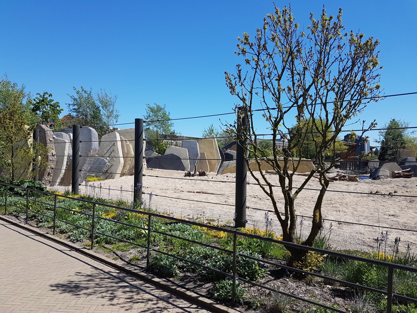 New Elephant-enclosure