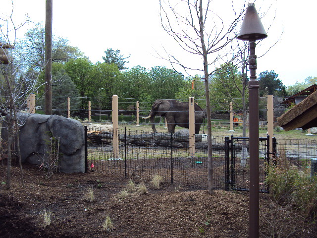 new elephant exhibit at cleveland zoo