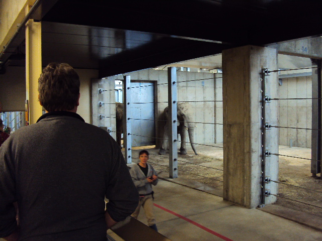 new elephant exhibit at cleveland zoo