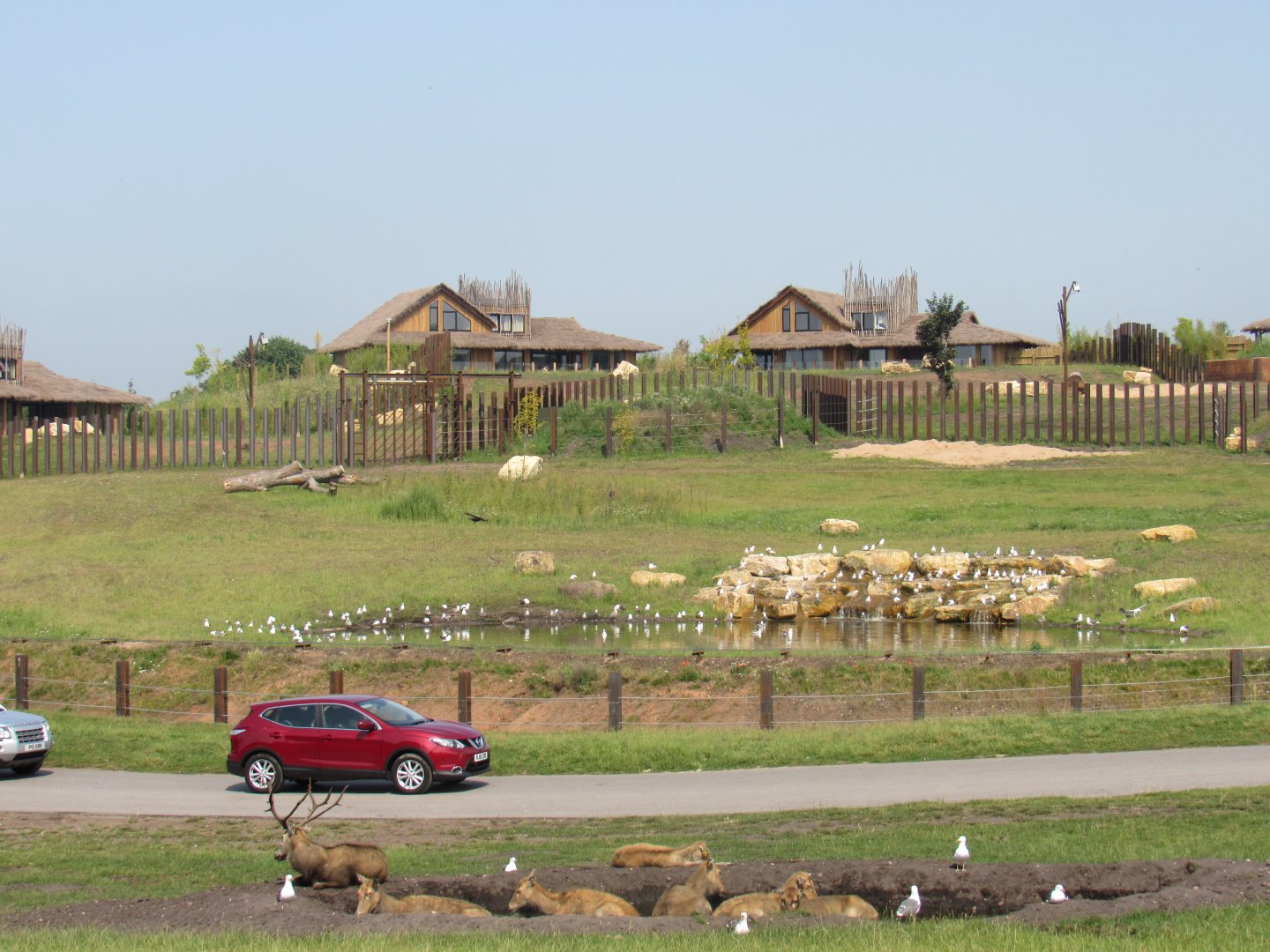 New Elephant Exhibit