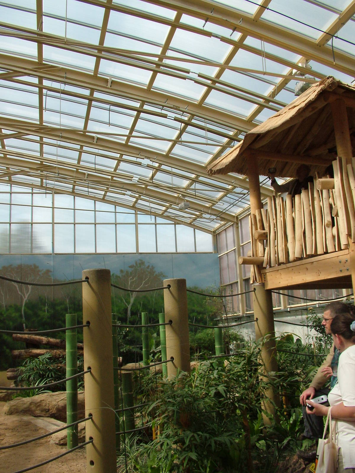 New Elephant House Interior at Heidelberg, 05/09/10