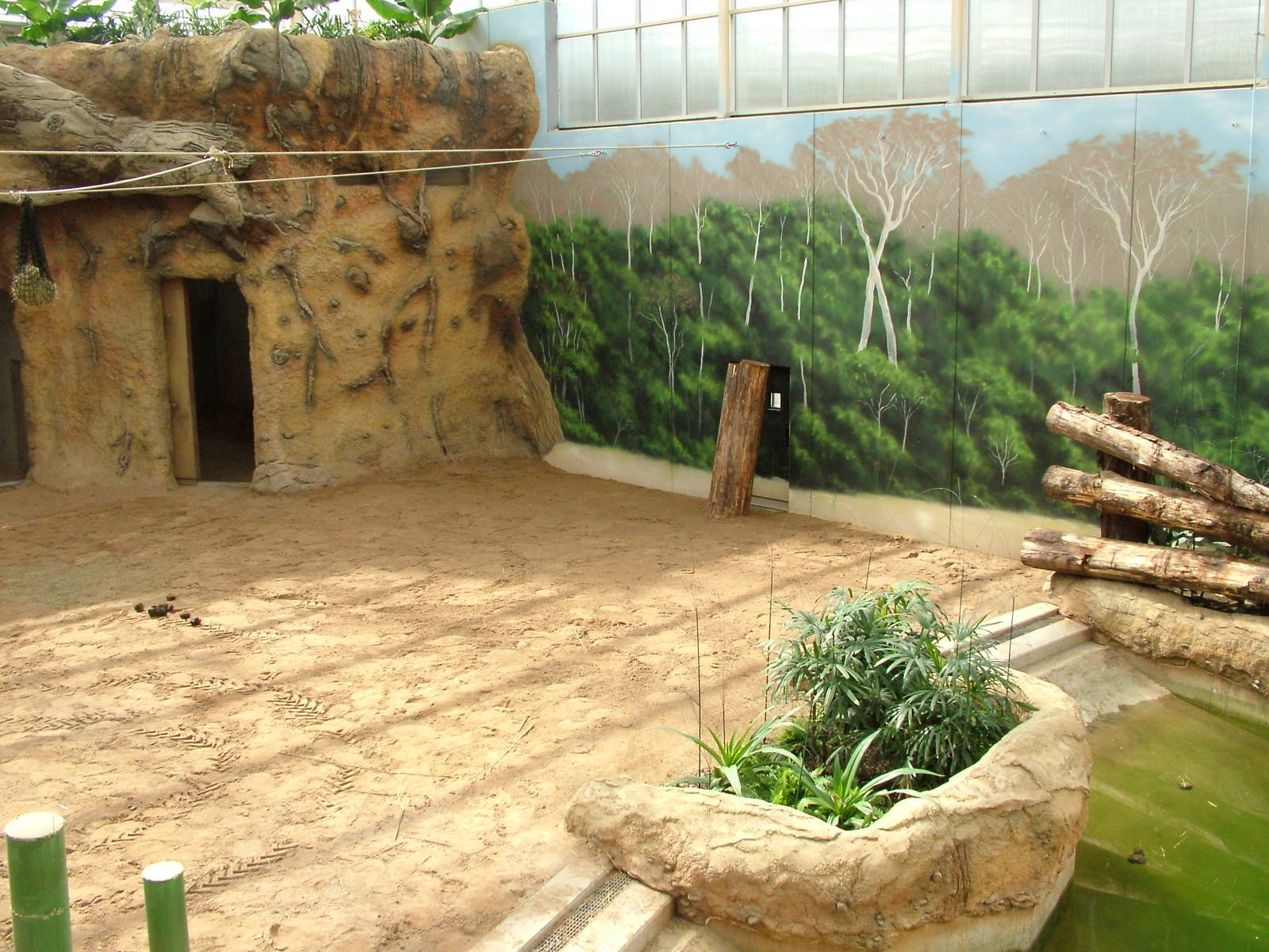 New Elephant House Interior at Heidelberg, 05/09/10