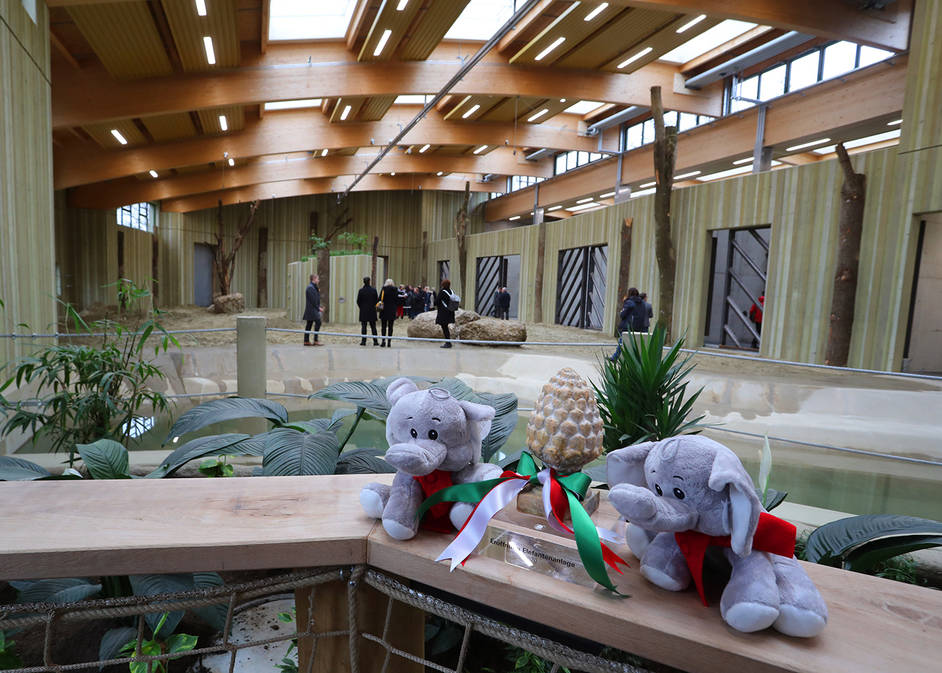 New elephant house opening!