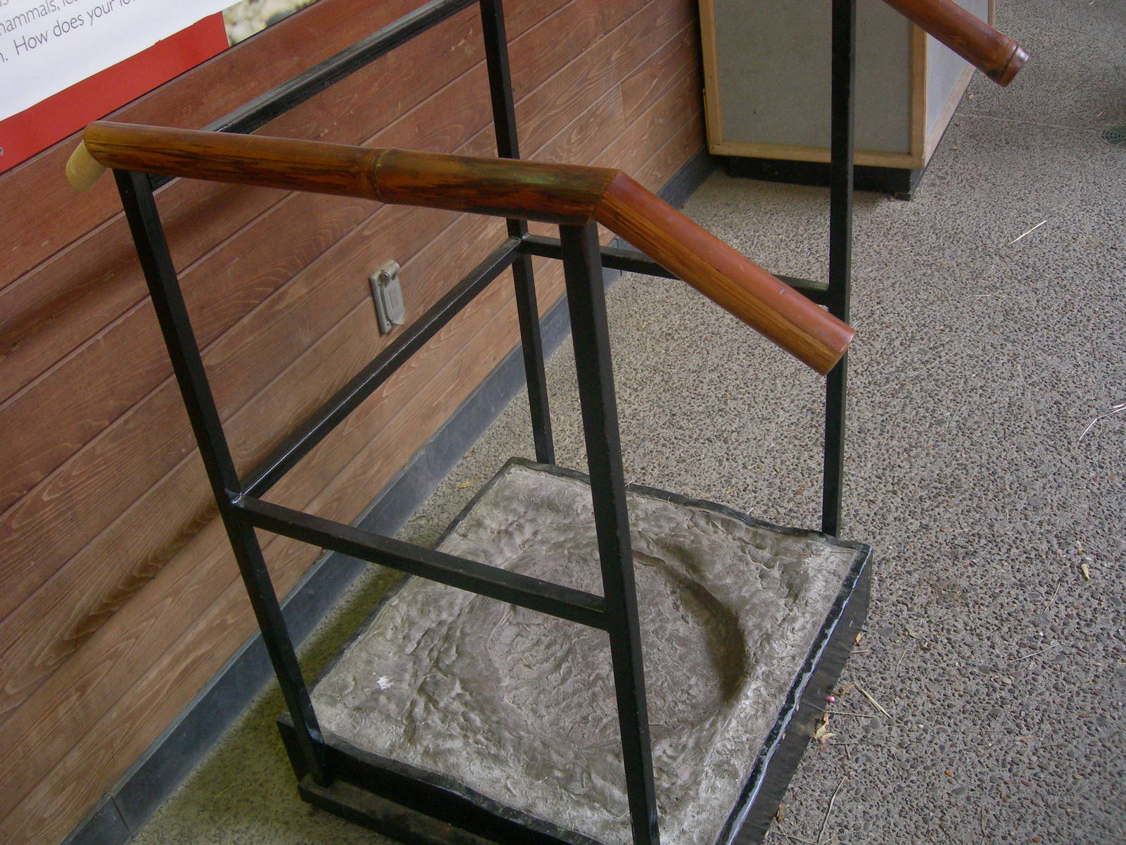 new elephant interactive prop