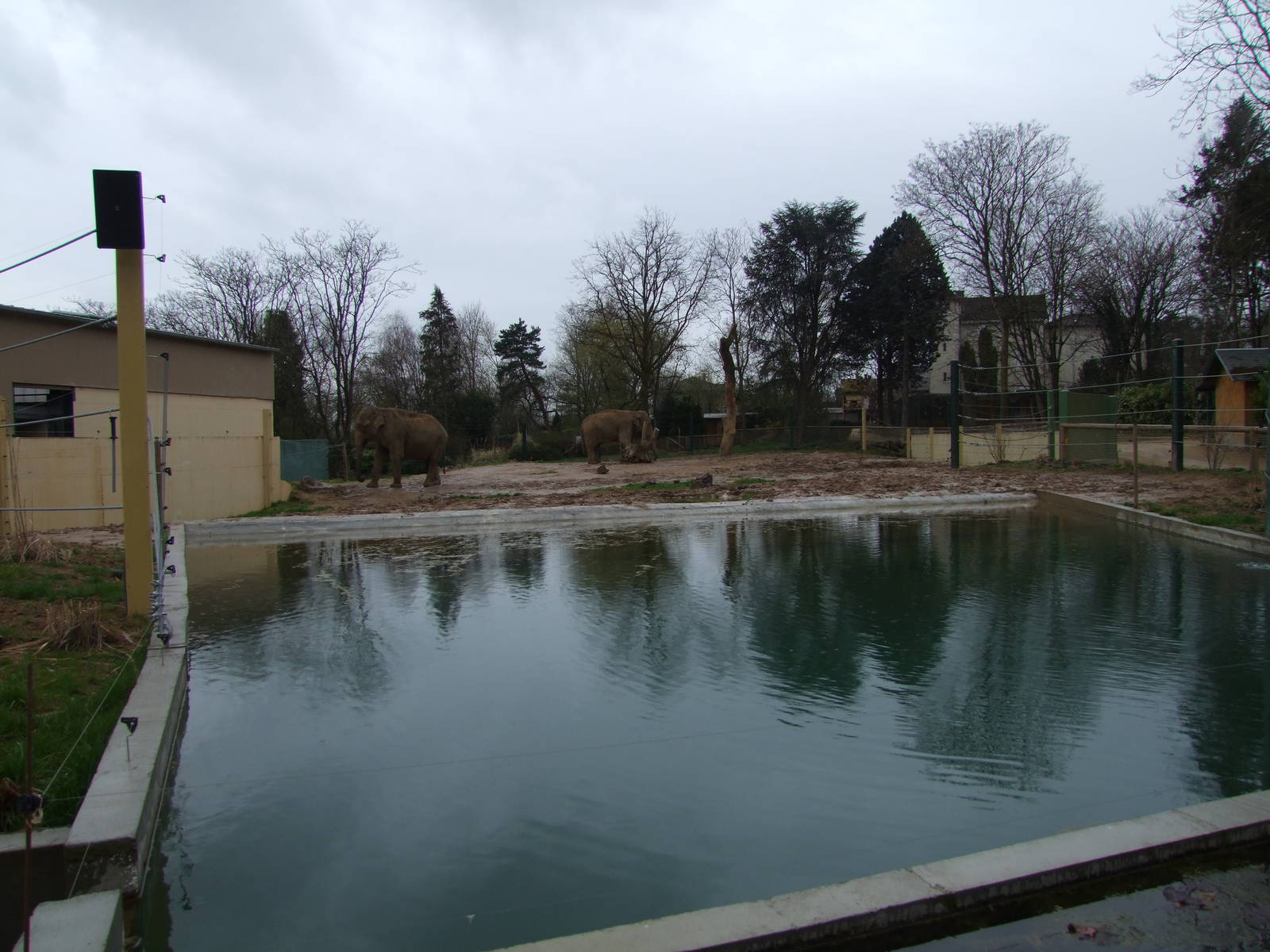 new Enclose of Elephas maximus indicus