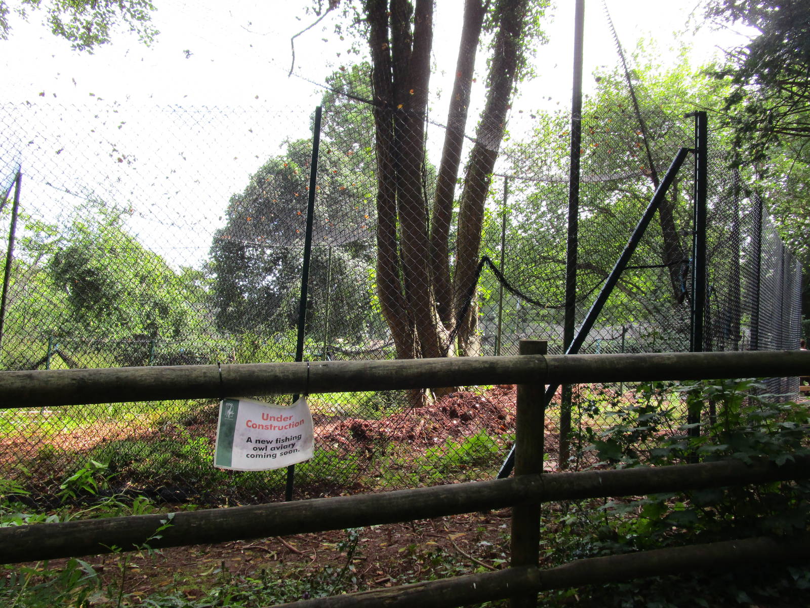 New Enclosure - 3/8/15