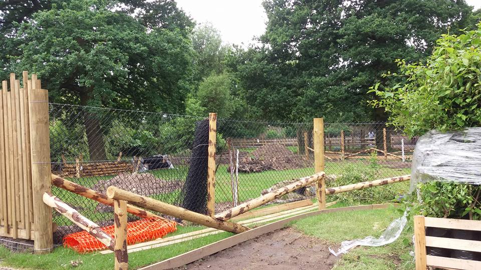 New Enclosure Being Built