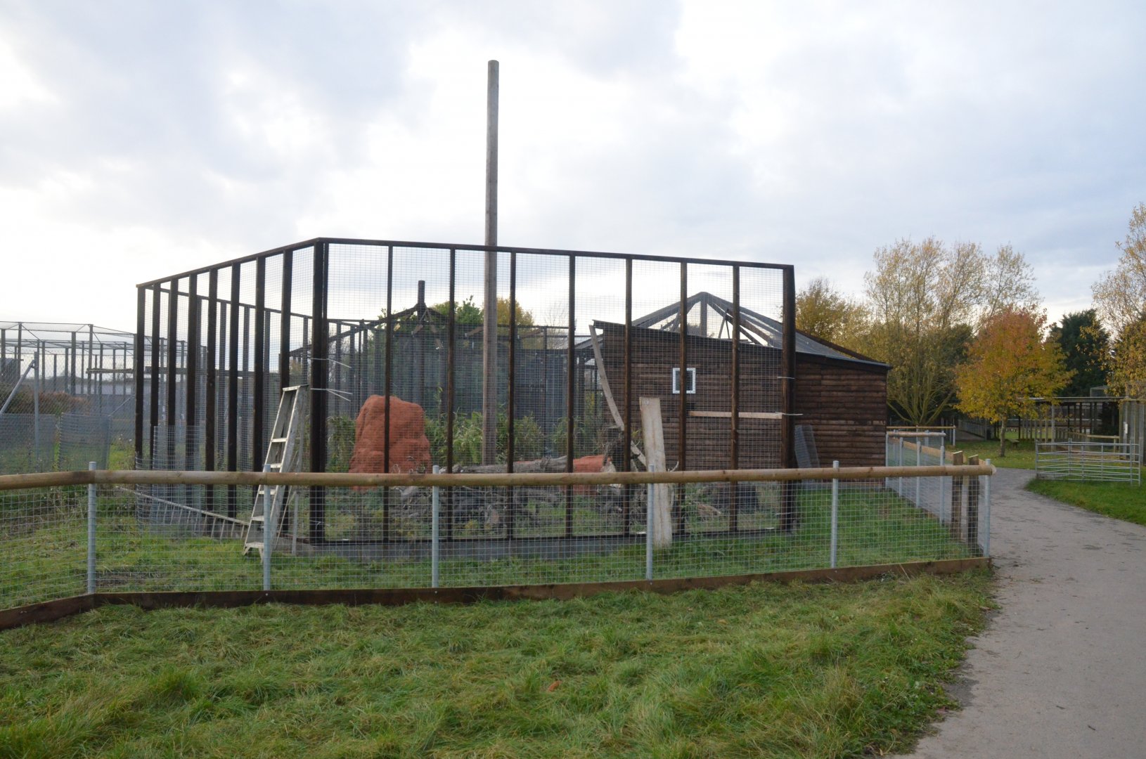 New Enclosure Construction at Hamerton, 19/11/16