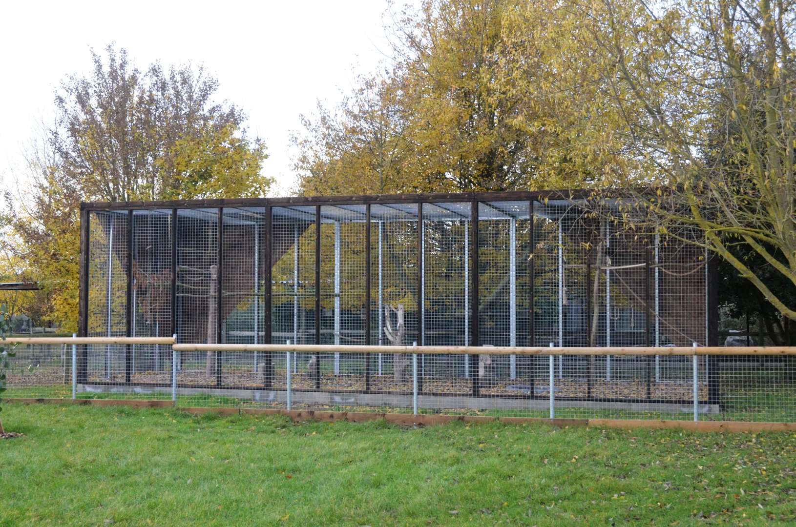 New Enclosure Construction at Hamerton, 19/11/16