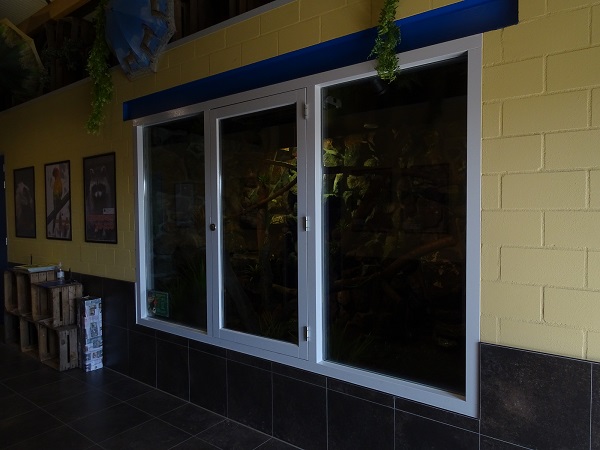 New enclosure for caiman lizards 2021