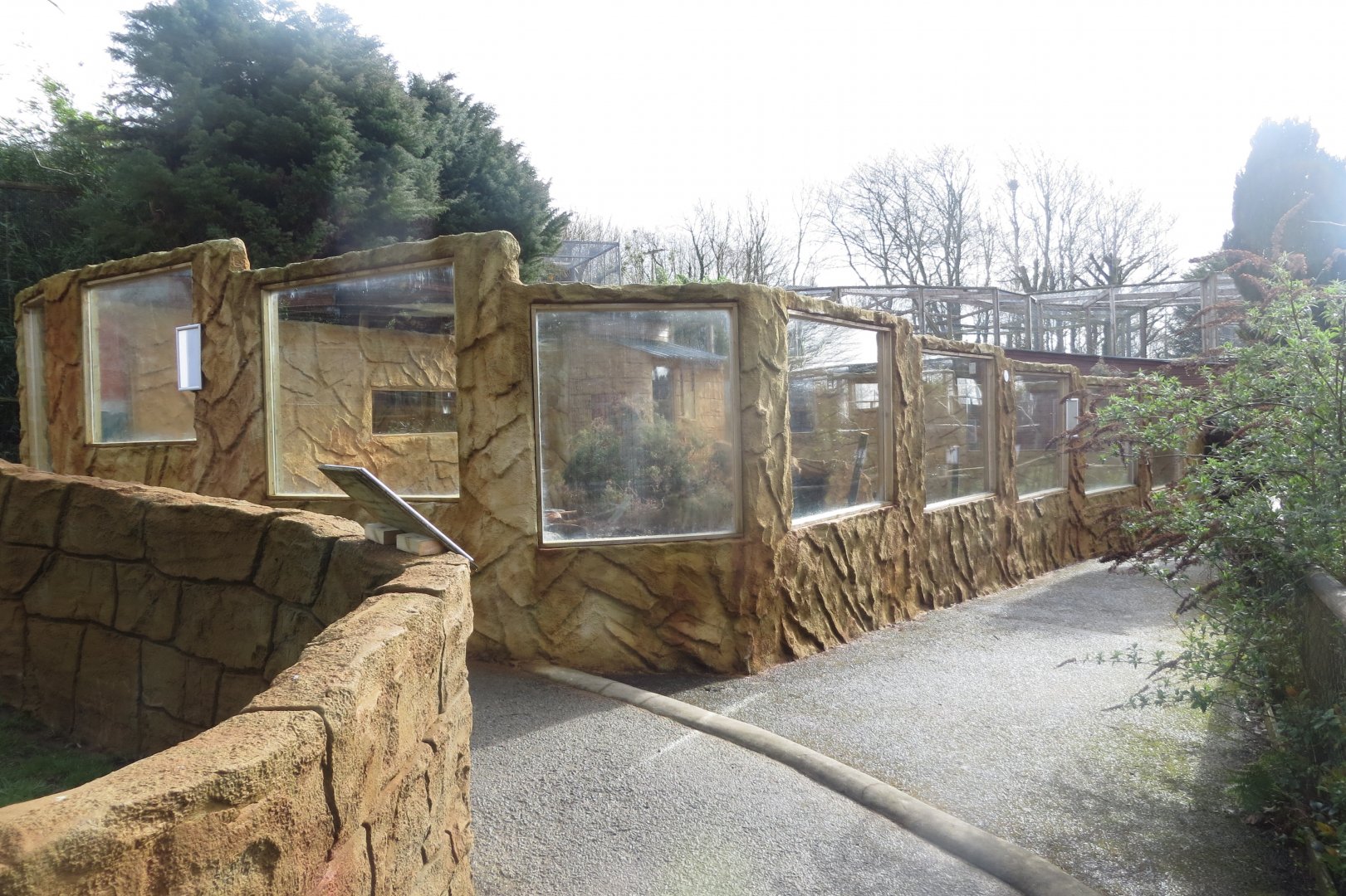 New enclosure for Cape porcupines 040319